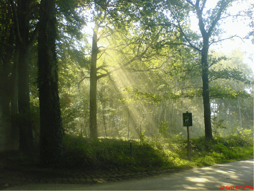 what-is-scattering-of-light-stem-learning