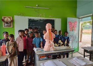STEM Learning Pvt Ltd